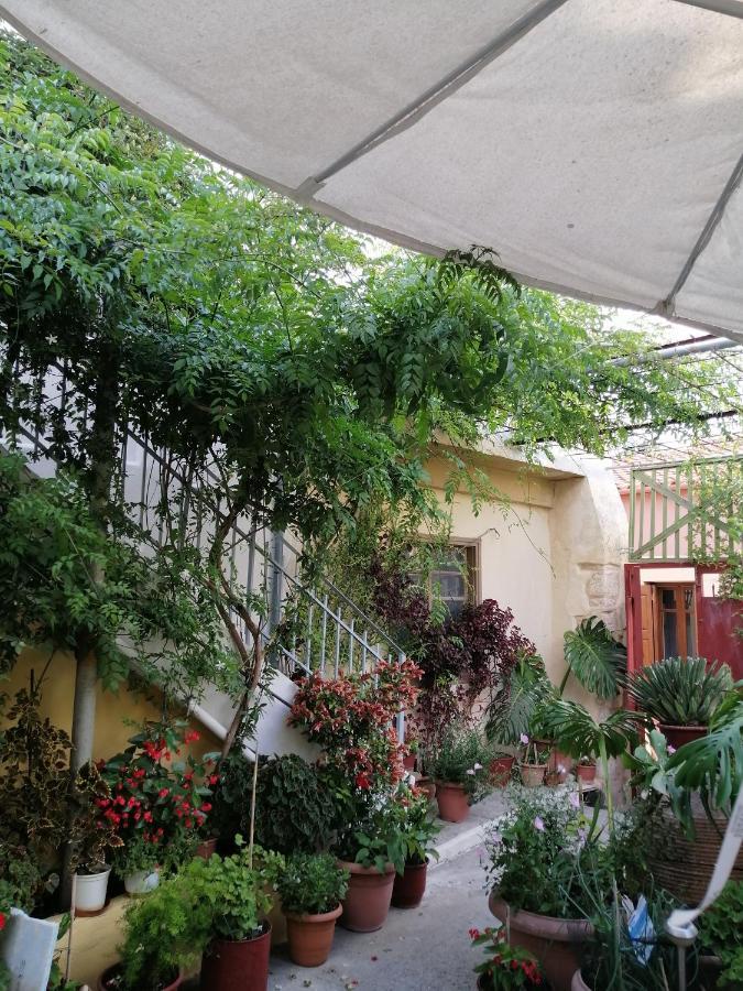 "Eirini" Traditional House Creta Archanes, Αρχάνες Σπίτι Bagian luar foto